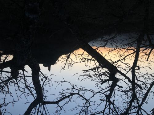 Notre Dame du Mont Carmel [26-03-2022](IMG_4665).jpg